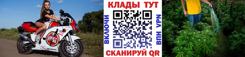 Купить Гашиш  Кокаин  Меф мяу мяу  ГЕРОИН  Каннабис  Alpha PVP  АМФ  Борисоглебск