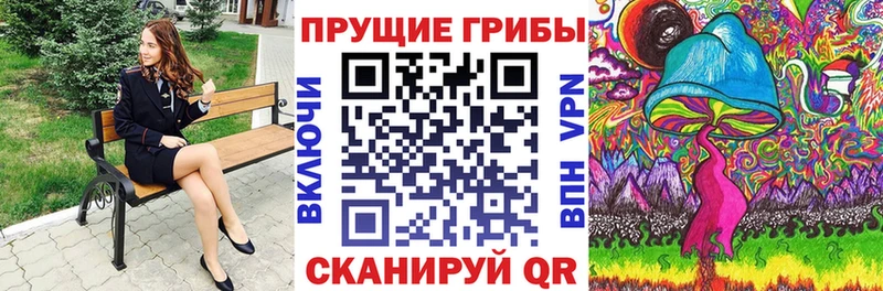 Псилоцибиновые грибы Psilocybe  Купить закладки  Борисоглебск 